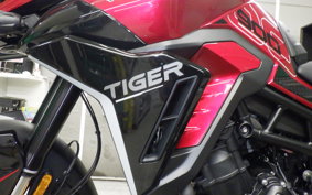 TRIUMPH TIGER 900 GT PRO 2024