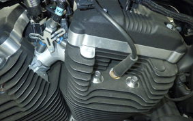 HARLEY XL883N 2017