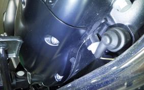 KAWASAKI W800 STREET 2021 EJ800B