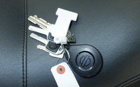 HARLEY FLSB 1750 2022