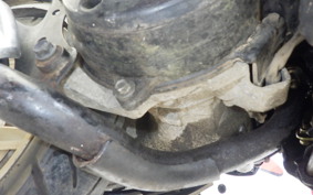 HONDA DIO ZX GEN 2 AF35