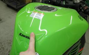 KAWASAKI NINJA ZX-6R A 2023 ZX636G