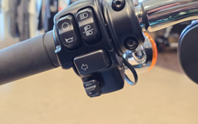 HARLEY  HARLEY FLSB 2022 YMJ