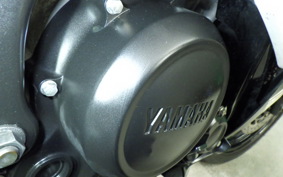 YAMAHA YZF-R15