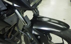 KAWASAKI Z250 2023 ER250C