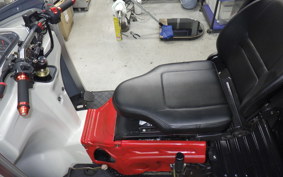 OTHER UNREGISTERED MODEL by BDS TRIKE250 2024