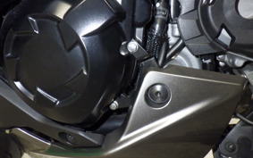 KAWASAKI NINJA 1000SX 2023 ZXT02K