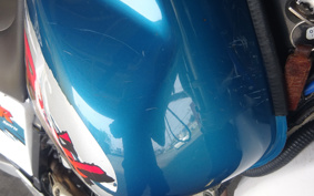 YAMAHA TT250RRAID 4GY