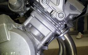YAMAHA ZEAL 3YX