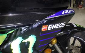 YAMAHA YZF-R25 2024 RG43J