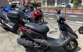 YAMAHA AKUSHI STREET SE53J