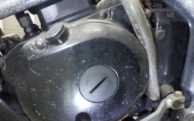 KAWASAKI ELIMINATOR 250 SE EL250A