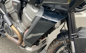 HARLEY PAN AMERICA 1250 2021 ZDS