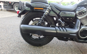 HARLEY RH975 NIGHT STAR 2022 ZH1