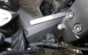 DUCATI MONSTER 937 2021