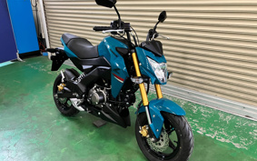 KAWASAKI Z125 PRO BR125H