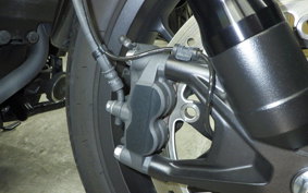 HONDA REBEL 1100 DCT 2021 SC83