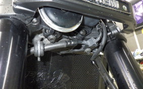 KAWASAKI Z900RS 2019 ZR900C