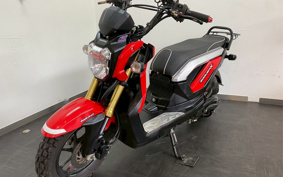 HONDA ZOOMER-X JF52