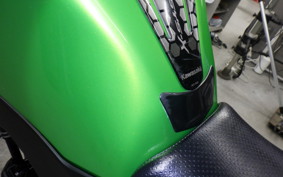 KAWASAKI VERSYS X250 A LE250D