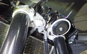 YAMAHA FZ1 FAZER 2008 RN21J