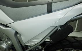 YAMAHA WR250R 2023 DG15J