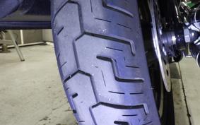 HARLEY FXST1750 2024