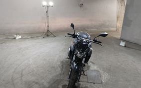 YAMAHA FZ25 RG42
