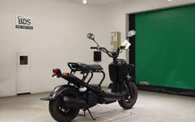HONDA ZOOMER 2026 AF58