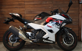 KAWASAKI NINJA 250 EX250P