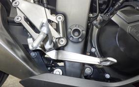 KAWASAKI NINJA 250 ABS