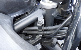 KAWASAKI NINJA 250 EX250P