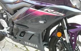 YAMAHA YZF-R25 RG74J