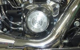 OTHER +HD. FLSTC1580 2012