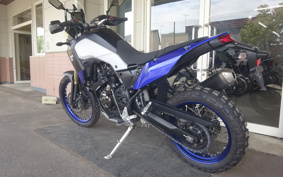 YAMAHA TENERE 700 2021 DM09J