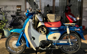 HONDA  LITTLE CUB 50TH ANNIVERSARY  AA01