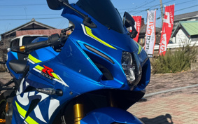 SUZUKI GSX-R1000R ABS 2017 DM11G