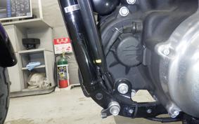 HARLEY FXST1750 2023