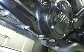 HARLEY FLTRX1920 2025