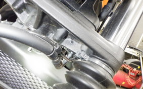HONDA CL250-2 2023 MC57