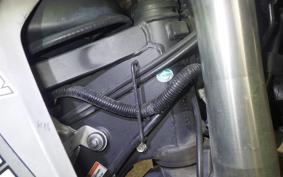 KAWASAKI KLX250D TRACKER X LX250V