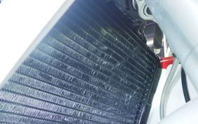 YAMAHA TZR250 R 2025 3XV