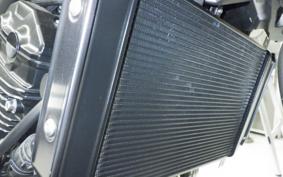 KAWASAKI Z900RS CAFE 2024 ZR900K