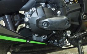 KAWASAKI NINJA ZX-6R A 2024 ZX636J