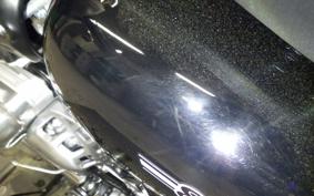 KAWASAKI W800 2024 EJ800E