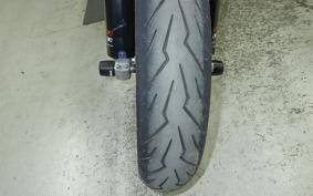 YAMAHA WR250X 2021 DG15J