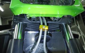 KAWASAKI ZRX1200 D 2013 ZRT20D