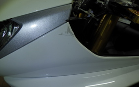 TRIUMPH DAYTONA 675 R 2015