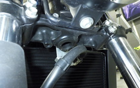 SUZUKI SV650 A 2024 VP55E