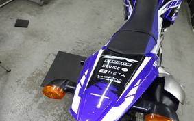 YAMAHA WR250R 2019 DG15J